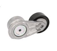 Leva del tenditore, cinghia trapezoidale GATES T38584 per LF 55 3.92 2001-2006