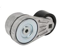 Leva del tenditore, cinghia trapezoidale GATES T38613