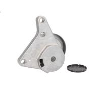 Tenditore della cinghia Poly-V INA 531 0916 10