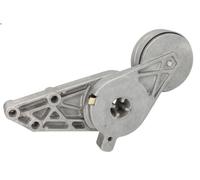 Leva del tenditore, cinghia trapezoidale INA 533 0077 30 per A4 B5 1.6 1994-2000