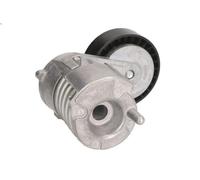 Leva del tenditore, cinghia trapezoidale INA 534 0030 10 per V50 (545) 2 2010-