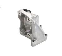 Leva del tenditore, cinghia trapezoidale INA 534 0032 10 per FOCUS I 1.4 1998-