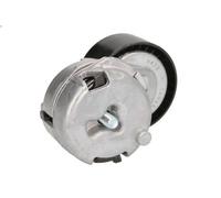 Leva del tenditore, cinghia trapezoidale INA 534 0109 2 per GT (937_) 2 2003-