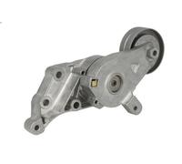 Leva del tenditore, cinghia trapezoidale INA 534 0140 3 per A3 (8L1) 1.9 1996-