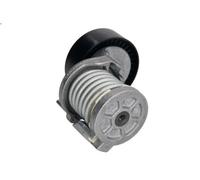 Leva del tenditore, cinghia trapezoidale INA 534 0164 1 per A3 (8P1) 2 2003-2012
