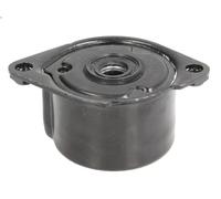 Leva del tenditore, cinghia trapezoidale INA 534 0170 1 per 3 (E46) 2 2001-2005