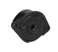 Leva del tenditore, cinghia trapezoidale INA 534 0171 10 BMW 5 (E39) 3 1998-2