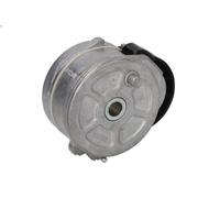 Leva del tenditore, cinghia trapezoidale INA 534 0255 10 XSARA (N1) 1.9 1998-