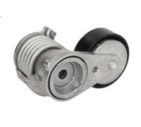 Leva del tenditore, cinghia trapezoidale INA 534 0273 10 KUGA I 2.5 2008-2012