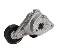 Leva del tenditore, cinghia trapezoidale INA 534 0309 10 per C-MAX 1.8 2007-