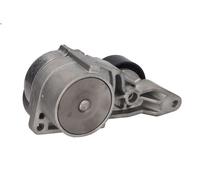 Leva del tenditore, cinghia trapezoidale INA 534 0319 10 per S60 I 2.4 2001-2010