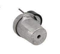 Leva del tenditore, cinghia trapezoidale INA 534 0320 10 per 1 (E87) 2 2004-2011