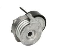 Leva del tenditore, cinghia trapezoidale INA 534 0331 10 per 1 (E87) 2 2004-2011