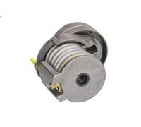 Leva del tenditore, cinghia trapezoidale INA 534 0346 1 per A1 1.4 2011-2015