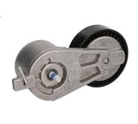 Leva del tenditore, cinghia trapezoidale INA 534 0412 10 per S-MAX 1.8 2006-2014