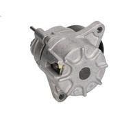 Leva del tenditore, cinghia trapezoidale INA 534 0481 10 per CLK 2.2 2005-2009