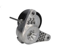 Leva del tenditore, cinghia trapezoidale INA 534 0552 10 Q5 (8RB) 2 2008-2017