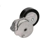 Leva del tenditore, cinghia trapezoidale INA 534 0604 1 per V70 III 2 2012-2015