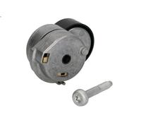 Leva del tenditore, cinghia trapezoidale INA 534 0607 10 per KA (RU8) 1.3 2008-