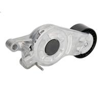 Leva del tenditore, cinghia trapezoidale INA 534 0654 10 DS5 1.6 2013-2015