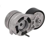Tendicinghia multirighe 534 0938 10 INA per SEAT VW SKODA AUDI CUPRA