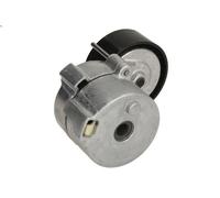 Leva del tenditore, cinghia trapezoidale INA 53406101 per 500L 1.6 2012-2018