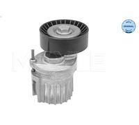 Leva del tenditore, cinghia trapezoidale MEYLE 100 903 1101 A3 (8P1) 2 2003-2012