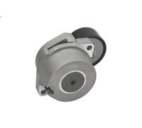 Leva del tenditore, cinghia trapezoidale per HONDA FR-V (BE) 2.2 2005-2009