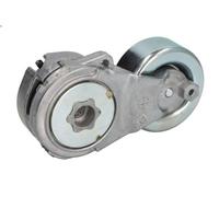 Leva del tenditore, cinghia trapezoidale per NISSAN X-TRAIL II (T31) 2 2007-2013