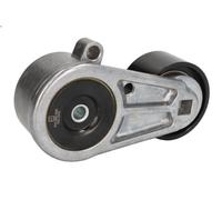 Leva del tenditore, cinghia trapezoidale PETERS per ANTOS 10.677 2013-2018