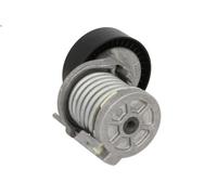 Leva del tenditore, cinghia trapezoidale SKF VKM 31058 AUDI A3 (8P1) 2 2003-2012