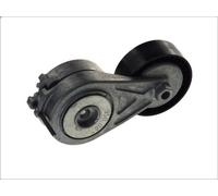 Leva del tenditore, cinghia trapezoidale SKF VKM 31310 AUDI A5 (8T3) 2 2008-2013