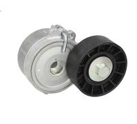 Leva del tenditore, cinghia trapezoidale SKF VKM 33033 406 (8B) 2 1998-2001