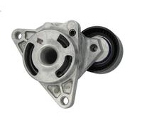 Leva del tenditore, cinghia trapezoidale SKF VKM 36041 per AVANTIME 2.2 2002-