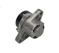 Leva del tenditore, cinghia trapezoidale SNR GA355.14 LOGAN (LS_) 1.4 2006-2012