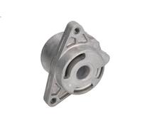 Leva del tenditore, cinghia trapezoidale SNR GA355.16 AVANTIME (DE0_) 2.2 2002-