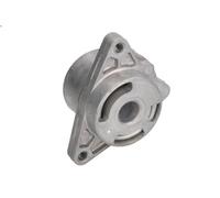 Leva del tenditore, cinghia trapezoidale SNR GA355.16 per AVANTIME 2.2 2002-