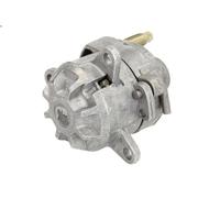 Leva del tenditore, cinghia trapezoidale SWAG 10 03 0019 SLK (R170) 2 1996-2