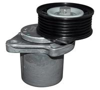Leva Tenditore Cinghia Multi-A. per FORD VOLVO 1127103