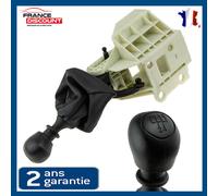 Impugnatura Velocità + Leva per Citroen Fiat DUCATO Jumper Boxer 1326600080