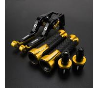 Leve freno e frizione regolabili in alluminio per moto Per YAMAHA TDR250 1988-1992, manopole per manubrio(Gold2)