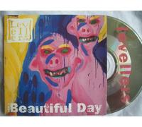 Levellers, The - What a Beautiful Day