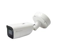 LEVELONE FCS5095 - Telecamera di sorveglianza, IP, LAN, esterna, PoE
