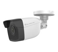 LevelOne FCS-5201 telecamera di sicurezza a sfera (forma) Telecamera di sicurezza IP interna ed esterna 1920 x 1080 pixel Soffitto/muro - Nouvo