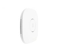 LevelOne WAP-8121 - Funkbasisstation - Wi-Fi ( WAP-8121 )