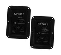 Levemolo 2 Pezzi Piastra Giunzione per Casse Audio in Ferro Durevole Connettore Jack Doppio per Terminale Altoparlante Compatibile con Box Stage per Studio e Amplificatore Audio