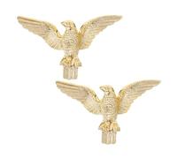 Levemolo 2 pezzi Puntali Forma di Aquila Decorazioni Resistente Intemperie per Esterni Facili da Installare Migliorano la Presentazione del Portabandiera per Piazze e Riunioni