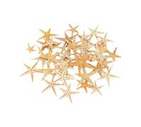 Levemolo Ornamento Stella Marina Mini Beige in Plastica Strass | Scultura Micro per Casa e Fai, Può Stare in Bottiglia, Accessorio Benedizione Incluso