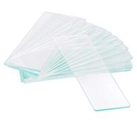 Vetrini vuoti Levenhuk G50 1H a una cavità, 50 pz.