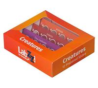 Levenhuk LabZZ C12 Creatures Set di Vetrini Preparati Didattici per Microscopio di 12 Campioni di Animali e Insetti per Bambini con Curiosità per l’Entomologia e Zoologia